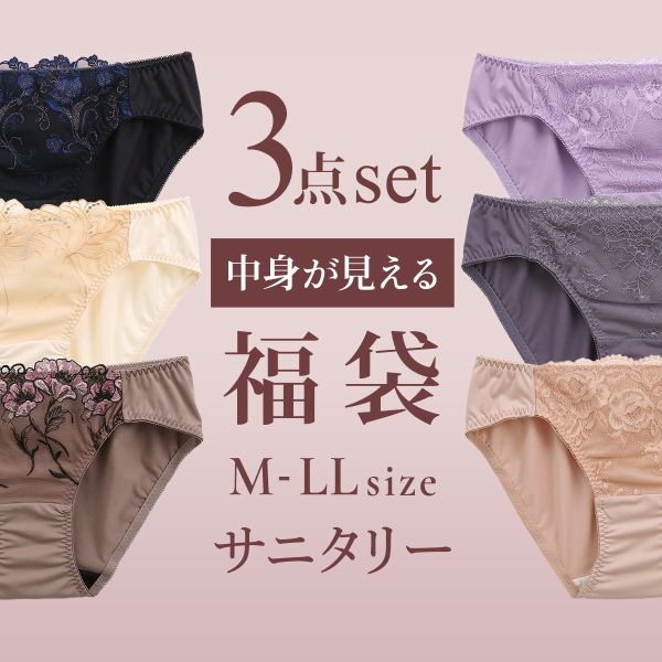 品 番:03SANITA5P刺繍レースのAタイプ、シンプルなBタイプから選べる3枚セット！サイズ:レディースM(ヒップ87-95cm)L(ヒップ92-100cm)LL(ヒップ97-105cm)カラー: